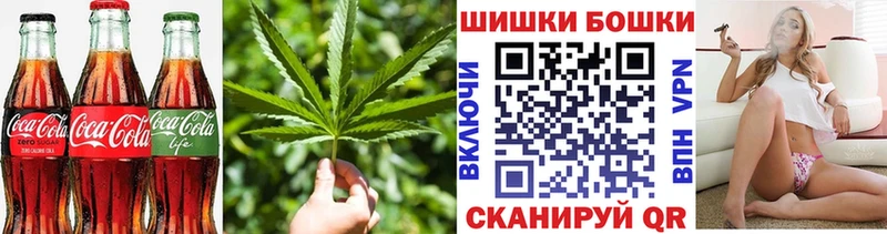Canna-Cookies марихуана закладки Краснослободск