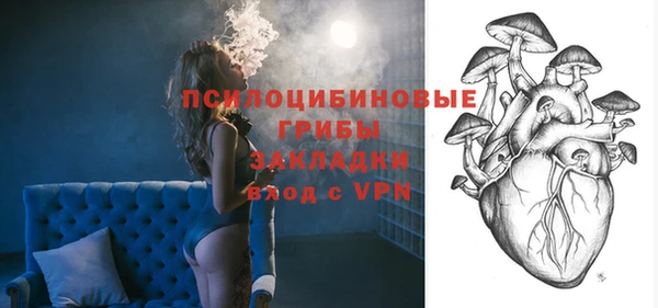 метадон Медвежьегорск