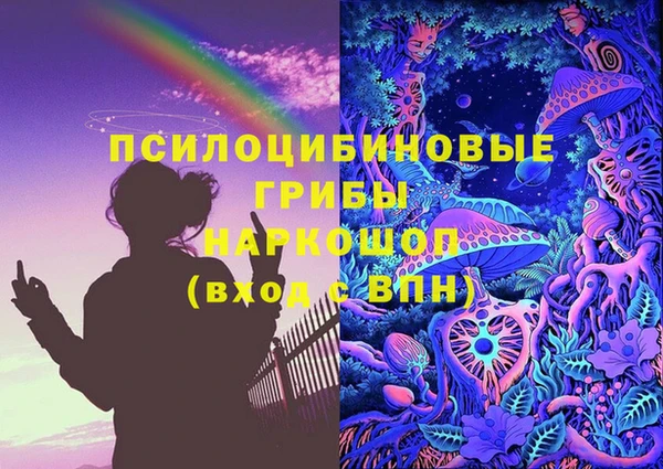 PSILOCYBIN Михайлов