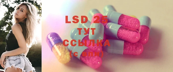 PSILOCYBIN Михайлов