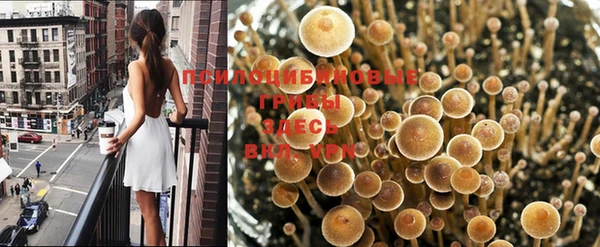 а пвп мука Михайловка