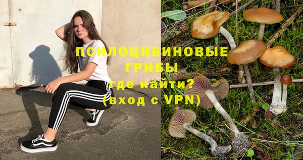 экстази Медногорск
