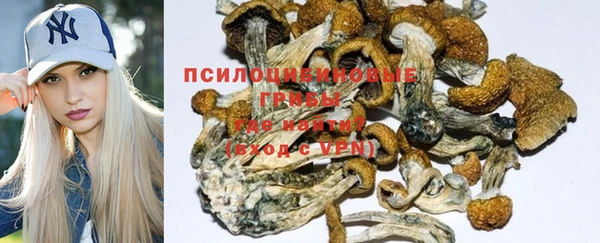 первитин Мегион