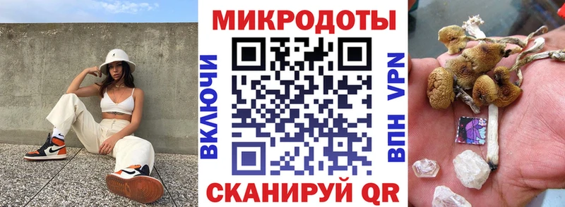 купить наркотик  Краснослободск  shop какой сайт  Псилоцибиновые грибы Cubensis 